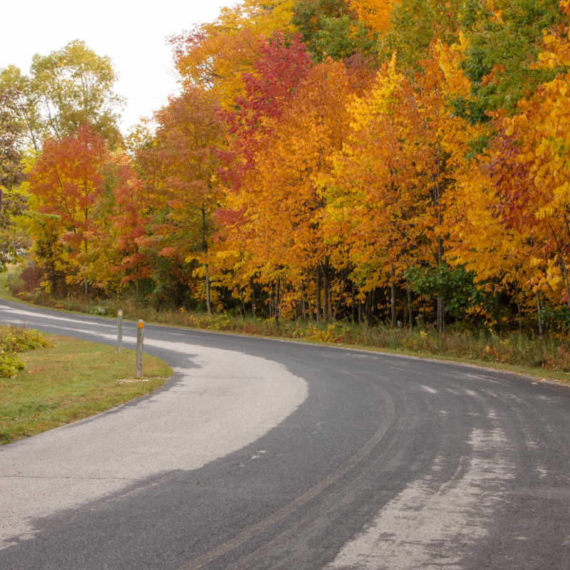 Curvy road with red, orange, and yellow trees on the side of the Kettle Moraine Scenic Drive